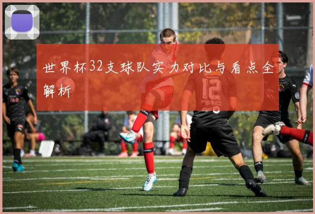 世界杯32支球队实力对比与看点全解析